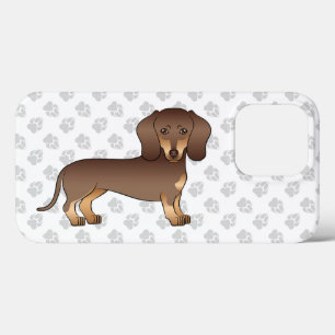 Chocolate E Marrom Claro Dachshund De Cabelo Curto