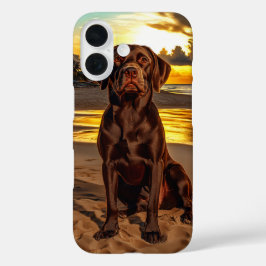 Chocolate Labrador no Sunset