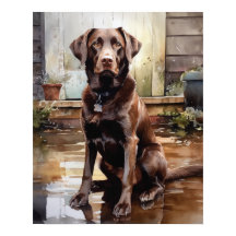 Chocolate Labrador Retriever Dog Art Impressão Pos