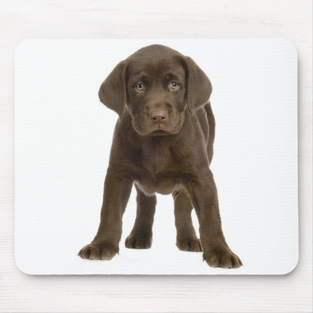 Chocolate Labrador Retriever Puppy Dog Mousepad (Frente)