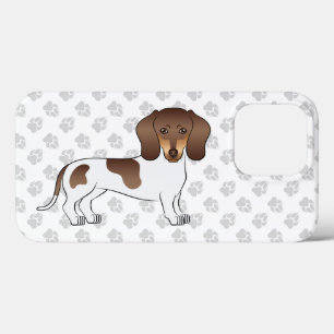 Chocolate & Tan Pied Cabelo Curto Dachshund & Paws