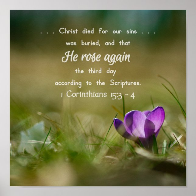 Christ Rose Again Crocus Poster (Frente)