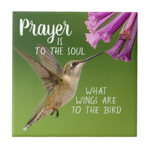 Christian Prayer é para o Pássaro das Asas da Alma