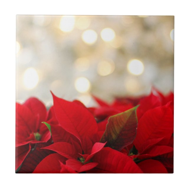 Christmas Poinsettia (Frente)