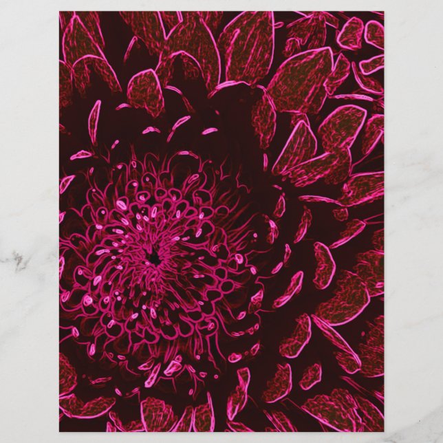 Chrysanthemum (Frente)