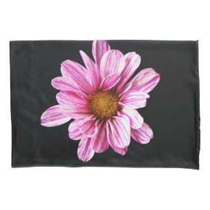 Chrysanthemum Flower Pccnm