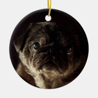 Chubbs o preto de Wampug no ornamento preto
