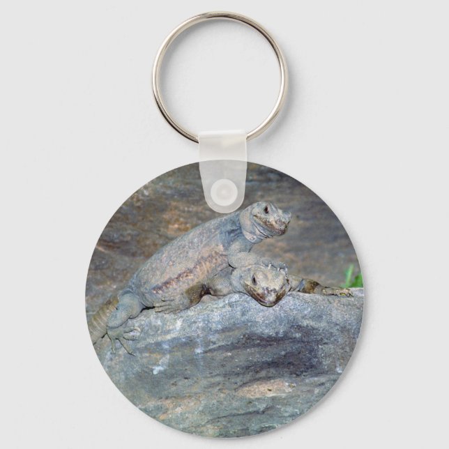 Chuckwalla Head Chaveiro (Frente)