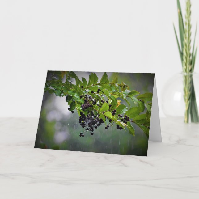 Chuva, cartão (Frente)