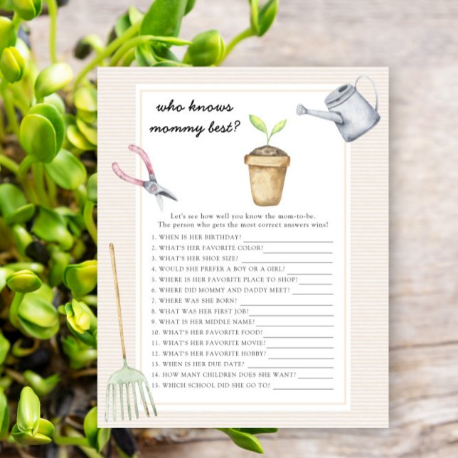 chuva de bebê broto - Quem conhece melhor a mamãe (Criador carregado)