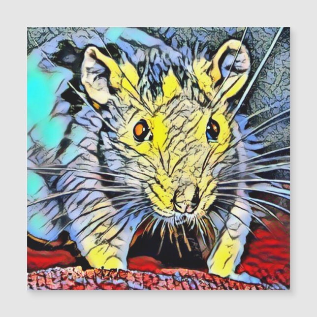 Chuva de Cor - Rato (Frente)