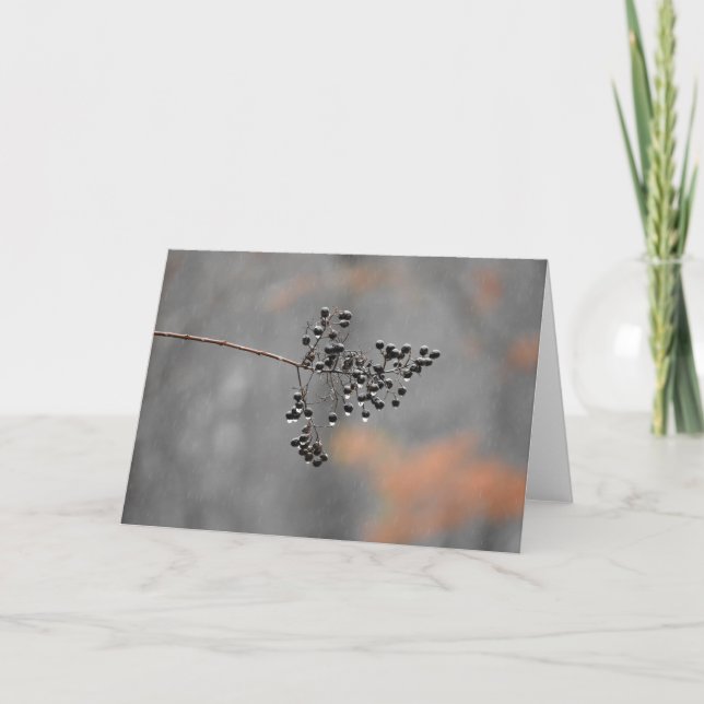 Chuva do inverno, cartão (Frente)