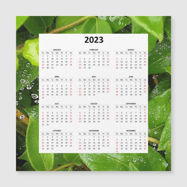 Chuva No Calendário Magnético 2023 Da Spiderweb (Frente)