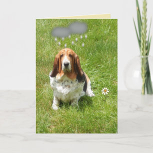 Chuva no cão engraçado do cartão de aniversári