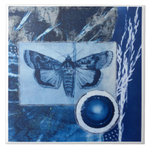 Cianotipia Vintage de Mariposa Azul e Branco