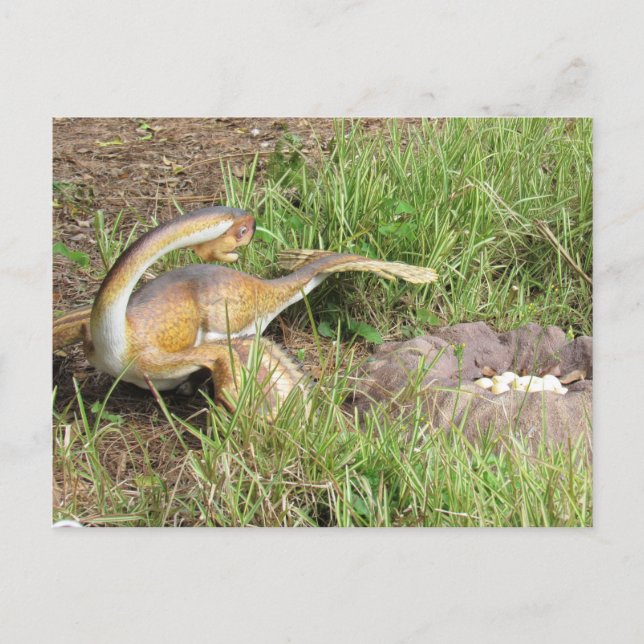 Cidadão - Dinossauro - Cartão de Aprendizado (Frente)