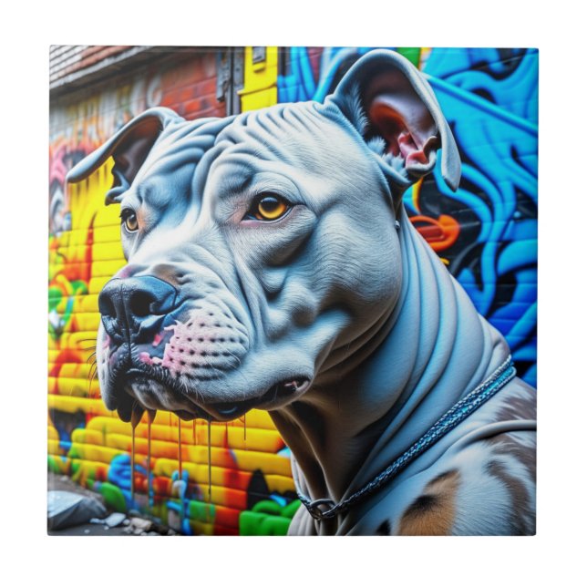 Cidade de Pitbull, Grafite urbano (Frente)