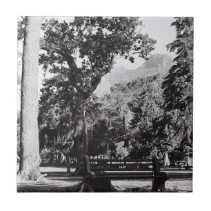 Cidade do Cabo de Waal Park Montanha África do Sul