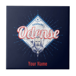 Cidade Odense Dinamarca Retro Viking Vintage Souve