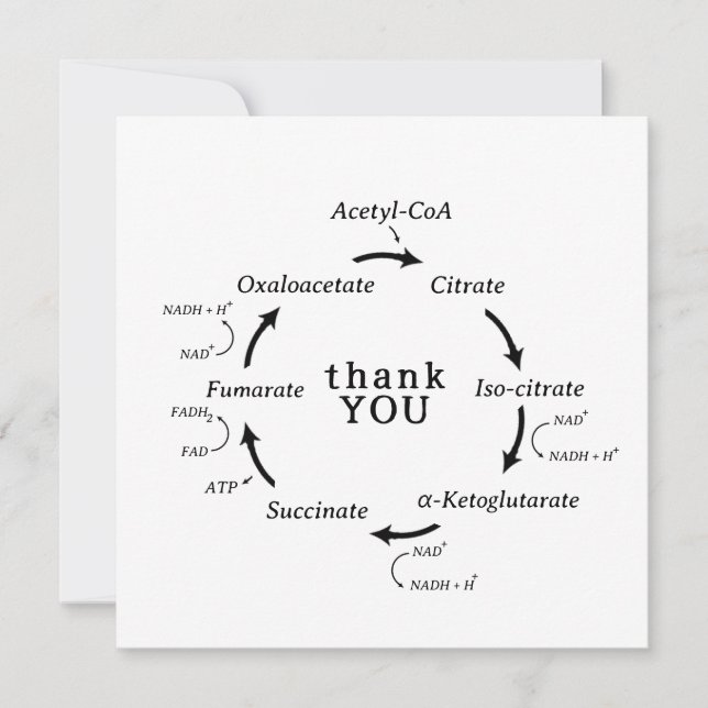 Ciência Obrigado Professora Kreb de Biologia do Ci (Frente)