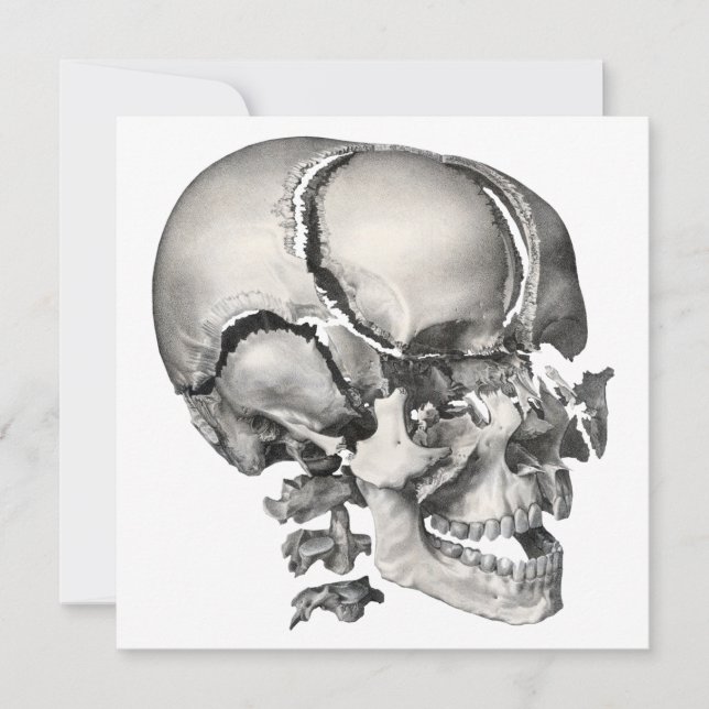 Ciência Vintage Anatomia Humana, Crânio Antigo (Frente)