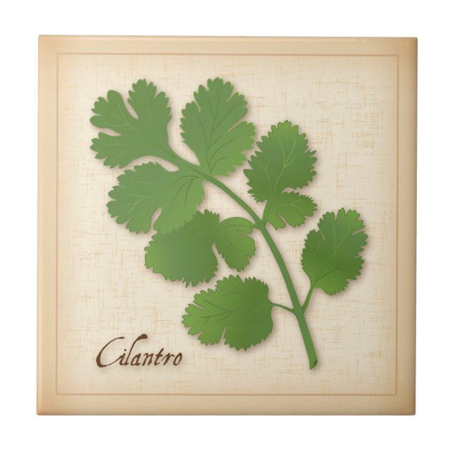 Cilantro Herb (Frente)