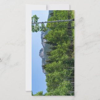 cimeira de espódoto acima das matas, à porta do ou