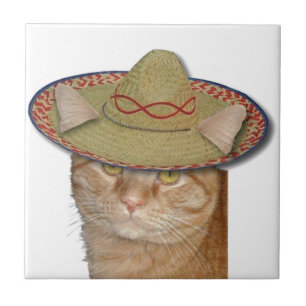 Cinco de Gato