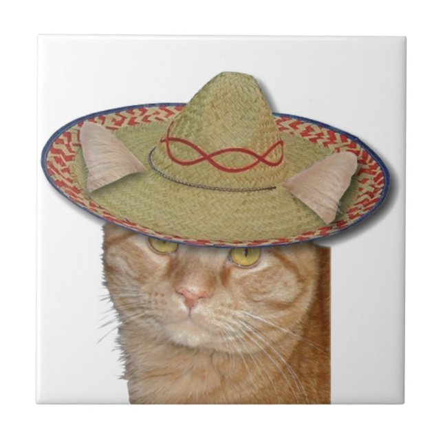 Cinco de Gato (Frente)
