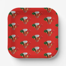 Cinco de mayo ,cinco pratos de papel mexicano