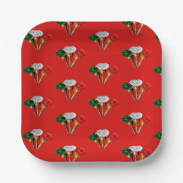 Cinco de mayo ,cinco pratos de papel mexicano