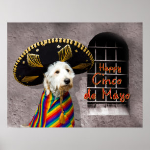 Cinco de Mayo Poster - Cachorro em Sombrero - Humo