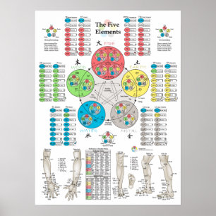 Cinco elementos da acupunctura apontam o poster