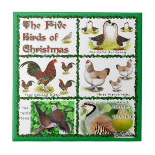 Cinco Pássaros do Natal