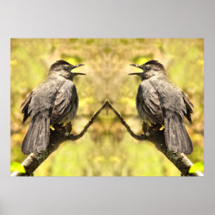 Cinza Canta Pássaros De Poster