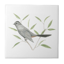 Cinza Catbird Bird Art