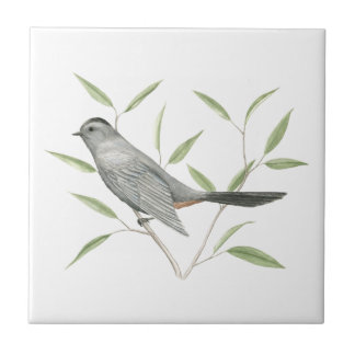 Cinza Catbird Bird Art