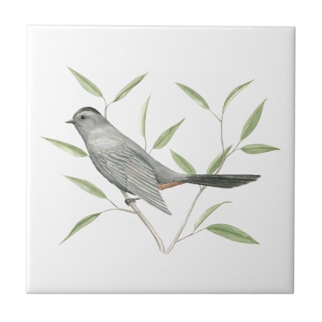 Cinza Catbird Bird Art (Frente)