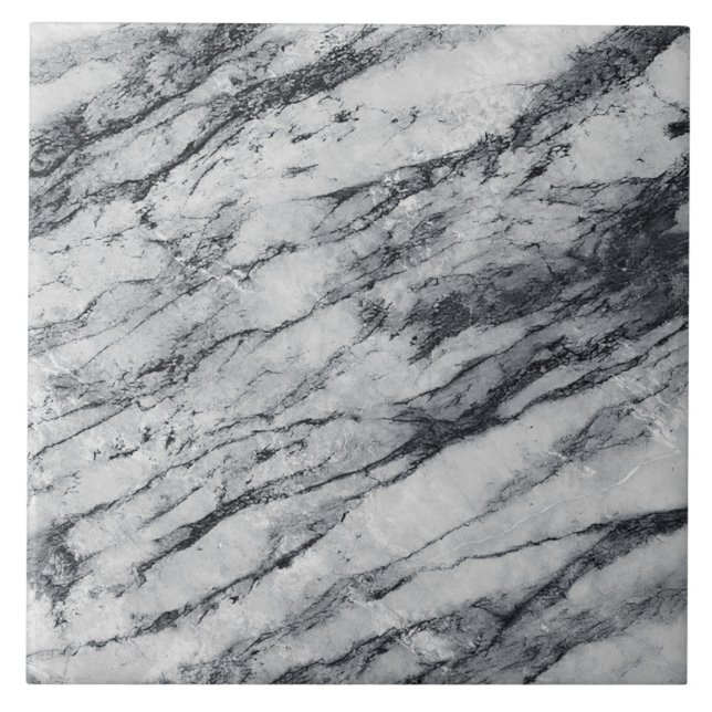 Cinza Chic Clássica Simples Moderna e Elegante (Frente)