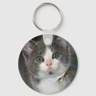 Cinza/Cinza/Prata e Chaveiro de Kitten Branco