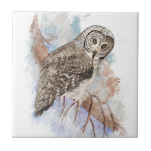Cinza de aquarelas Coruja Arte de Aves