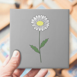 Cinza de Flor de Pastel de Margarida Botânica