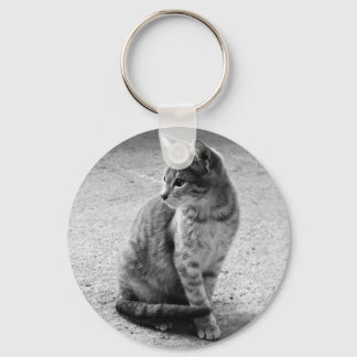 Cinza de Gato de Chaveiro