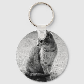Cinza de Gato de Chaveiro