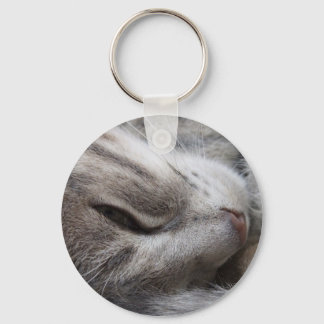 Cinza de Gato de Chaveiro
