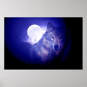 Cinza de Poster de Wolf & Moon - Lobos Noturnos Az
