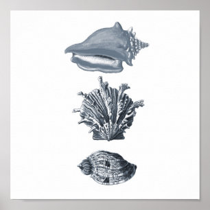 Cinza de praia decor impressão #8