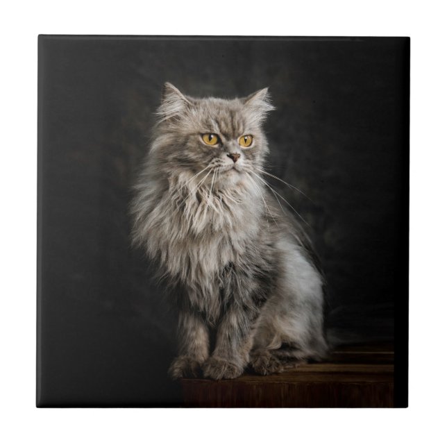 Cinza Fluffy Cat (Frente)