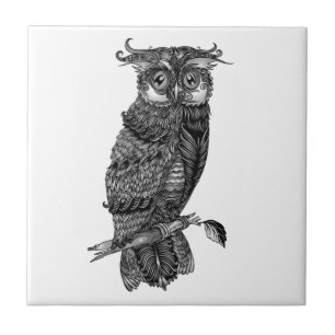 Cinza Hoot Owl com Orquídeas