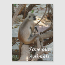 Cinza Langur - Descanse